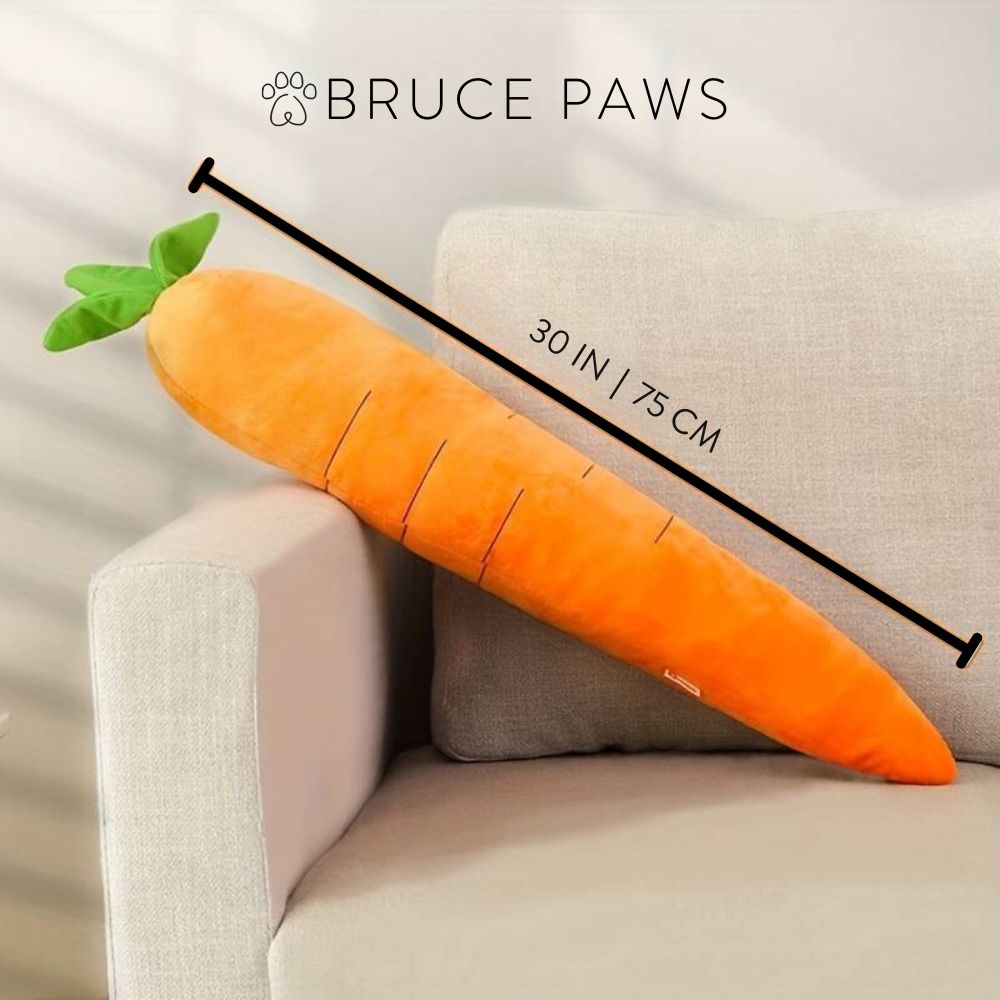 Stuffed Big Carrot