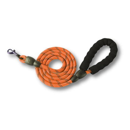 Reflective Round Rope Leash