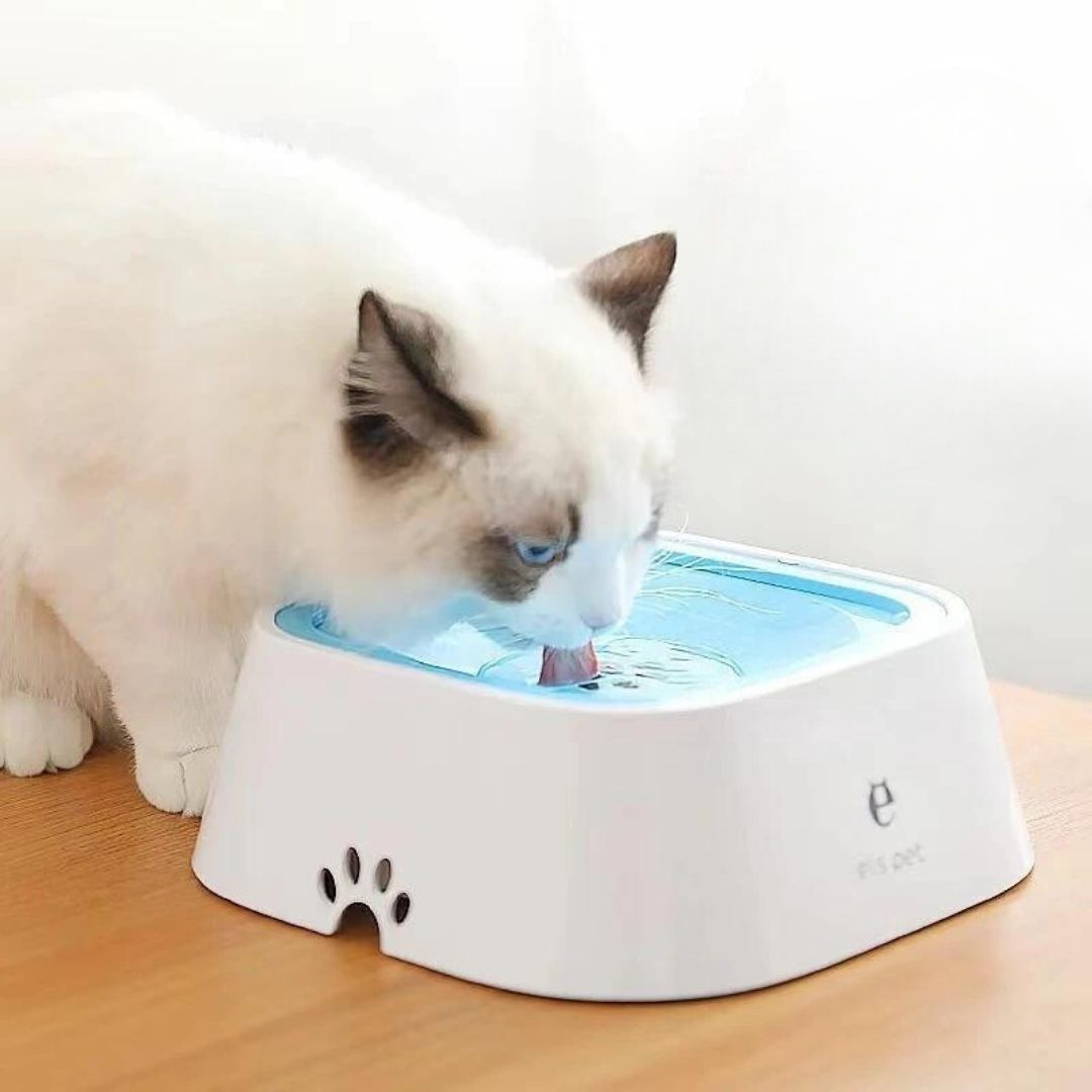 Non-Spill Water Bowl