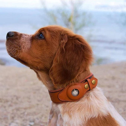 Apple Air Tag Collar