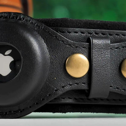 Apple Air Tag Collar