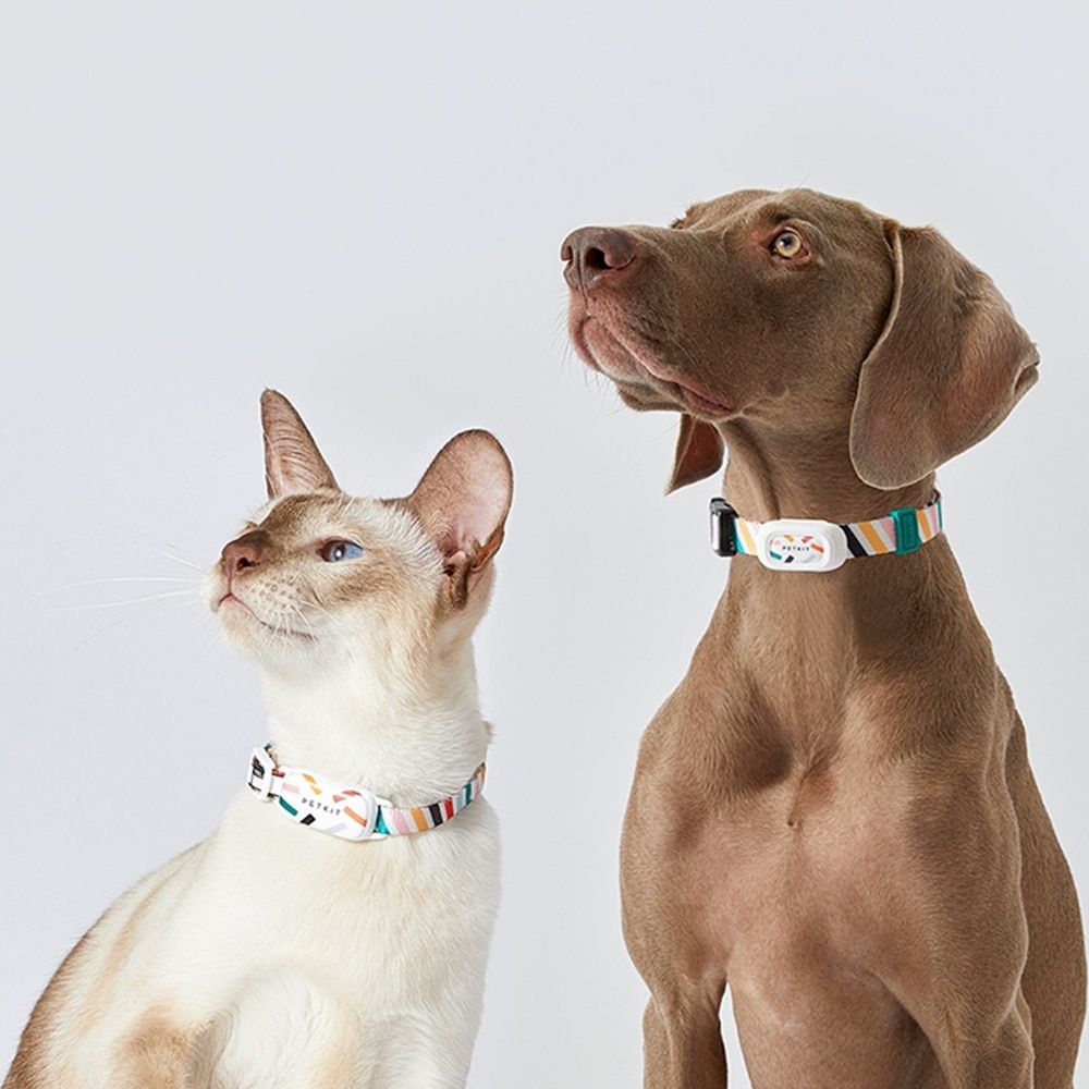 Activity Monitor - Dogs & Cats