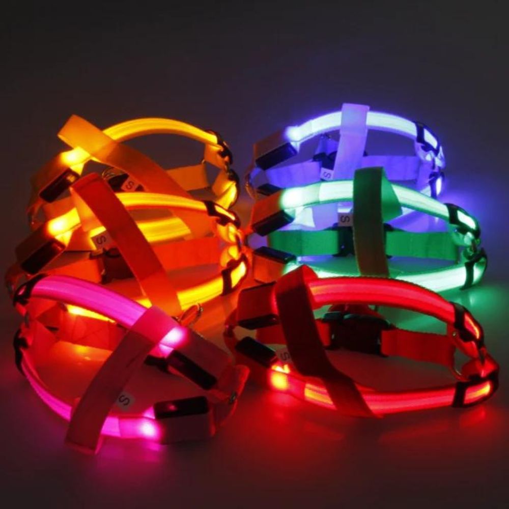 Rechargeable LED Harness - Multiple Colors