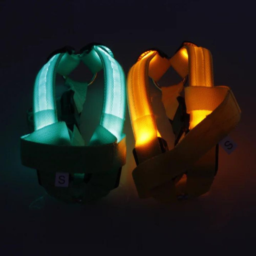 Rechargeable LED Harness - Multiple Colors