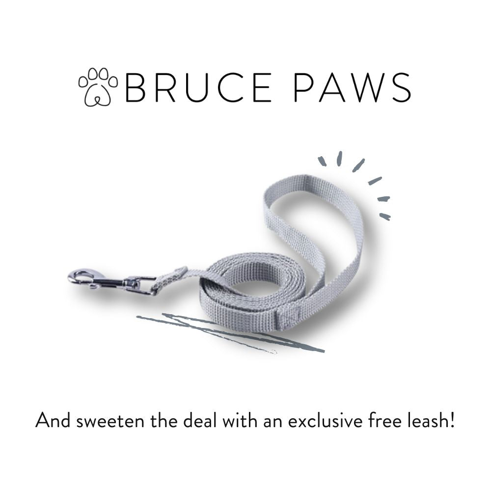 Minimalist Dog Harness + Free Leash