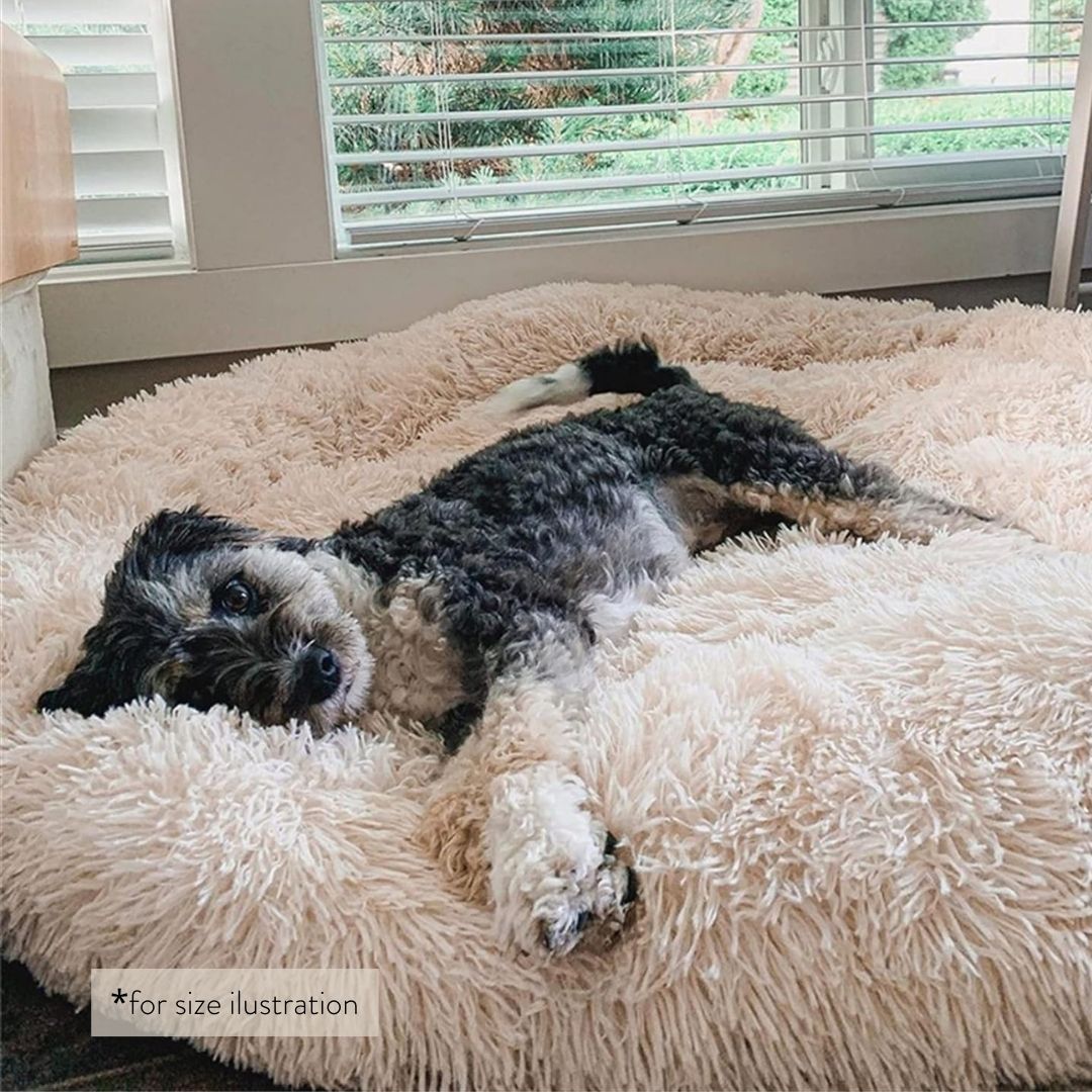 Round Plush Bed - Purple