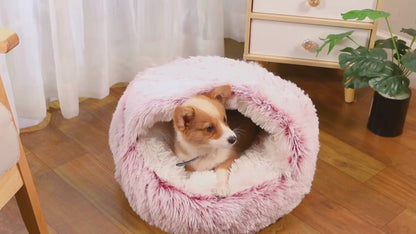 Semi-closed Bed For Dogs & Cats